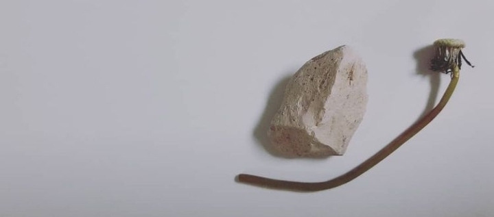 무료 카지노 게임