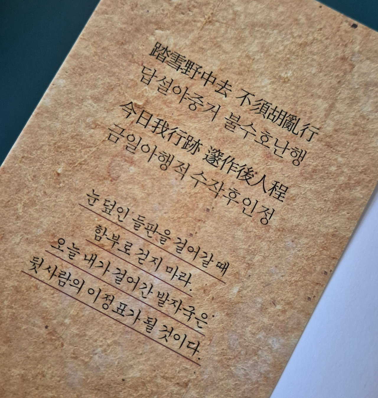 카지노 가입 쿠폰