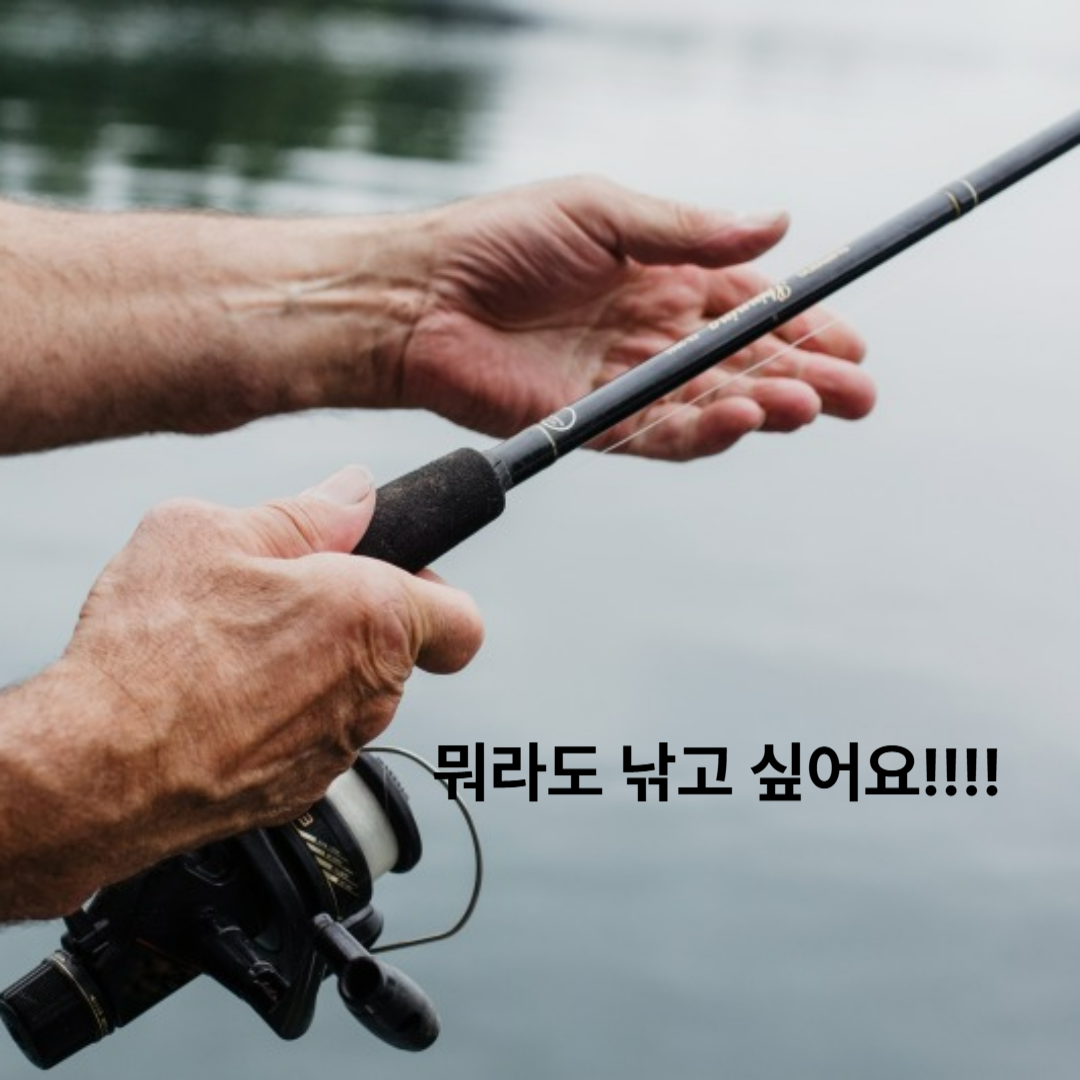 카지노 게임 사이트