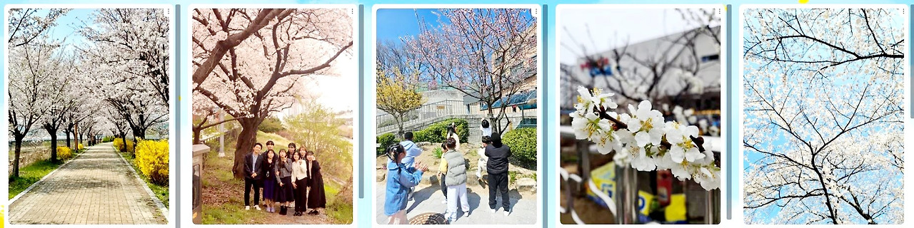 카지노 쿠폰