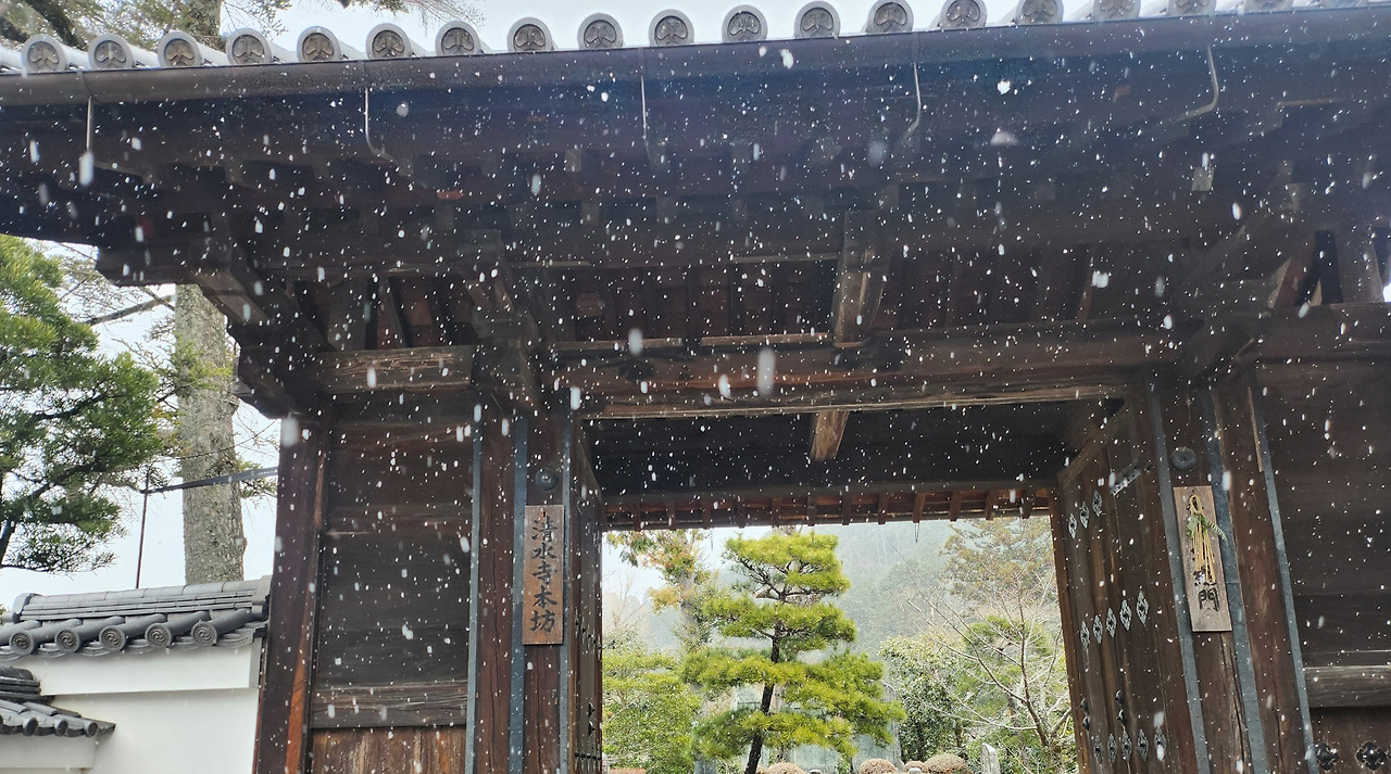 카지노 쿠폰