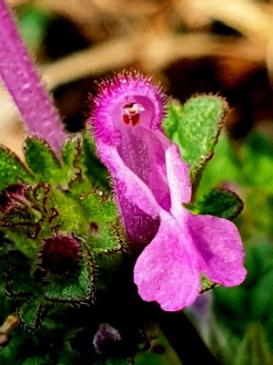 브런치 글 이미지 1