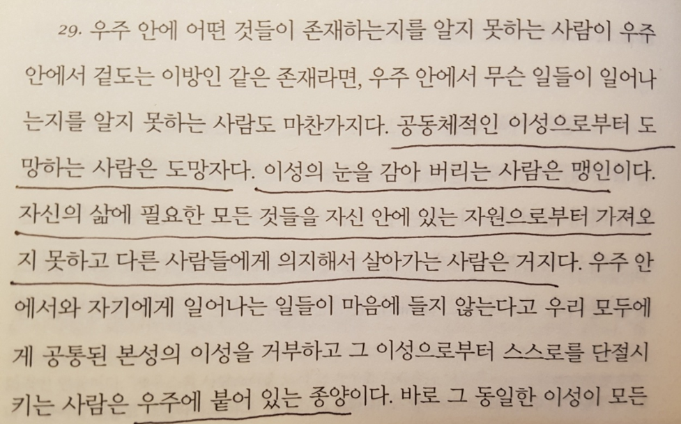 콤프카지노