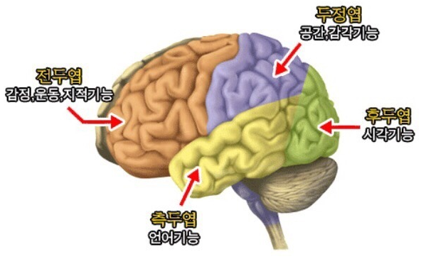 기억이 기록을 지배하는 그날까지...