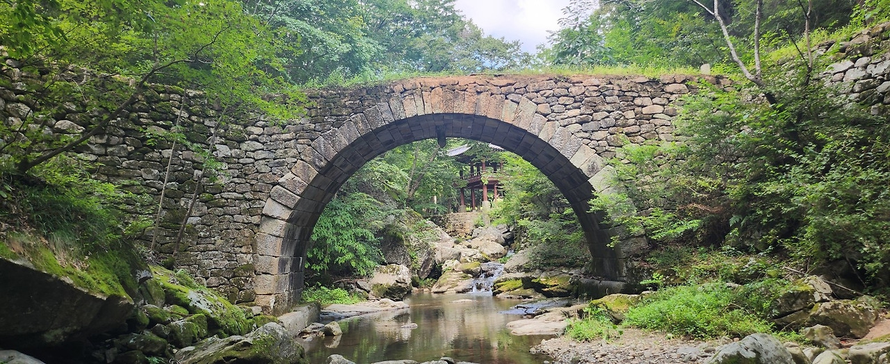 카지노 게임 사이트