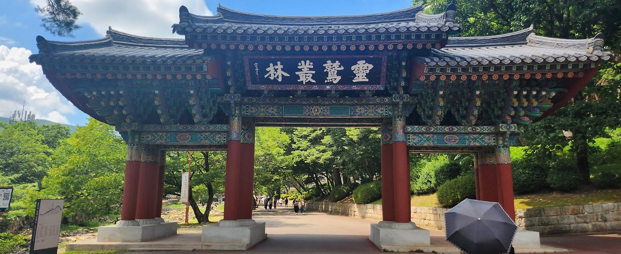 카지노 쿠폰