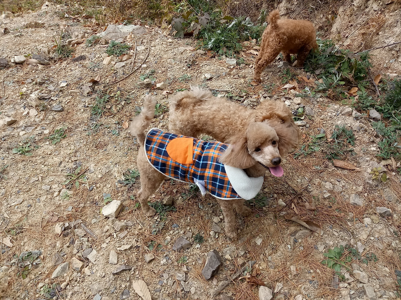 온라인 카지노 게임