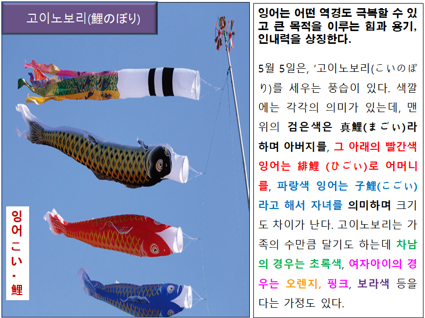 일본의 고이노보리(鯉のぼり)를 알고 계시나요?