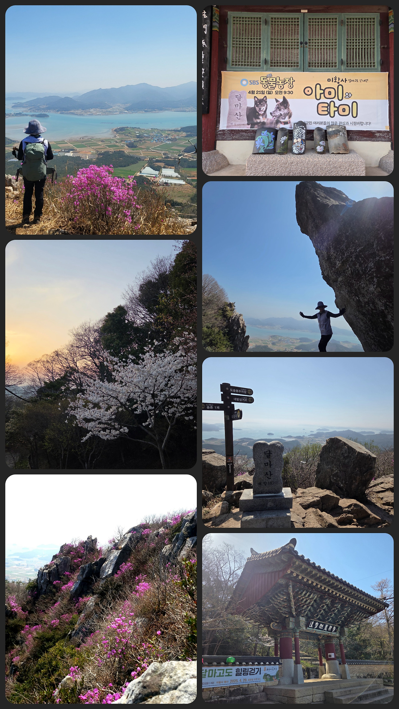 카지노 가입 쿠폰