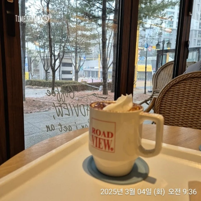 카지노 게임 사이트