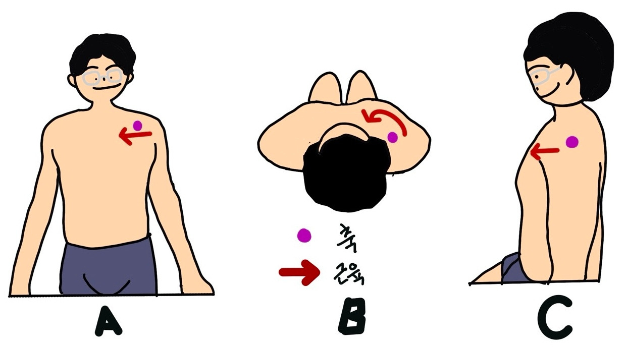 카지노 게임 추천