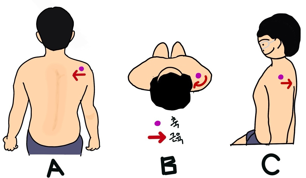 카지노 게임 추천