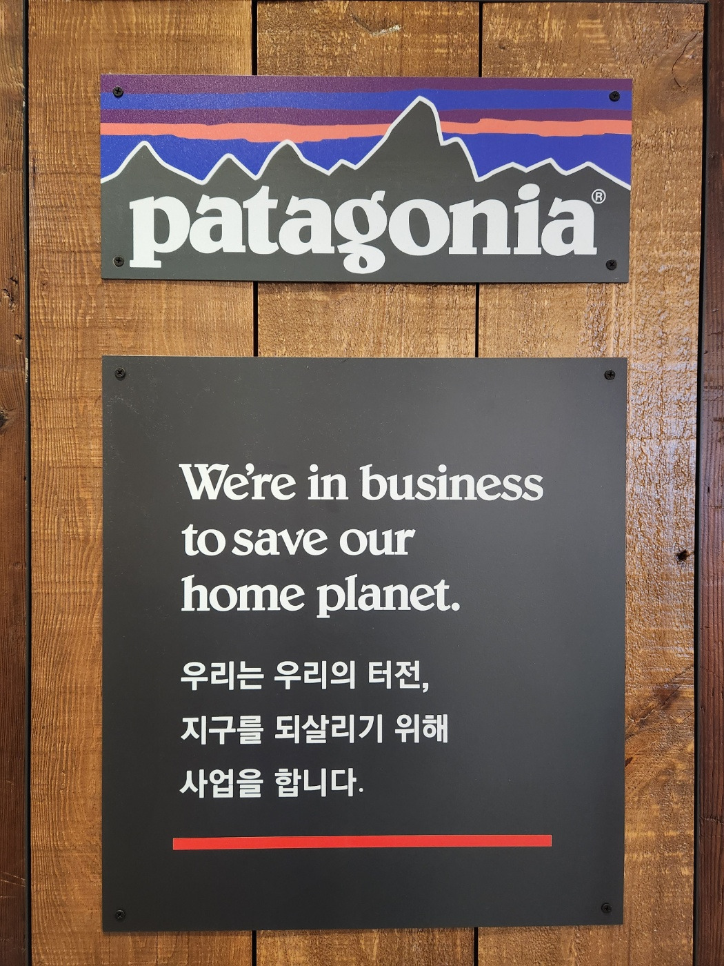 온라인 카지노 게임