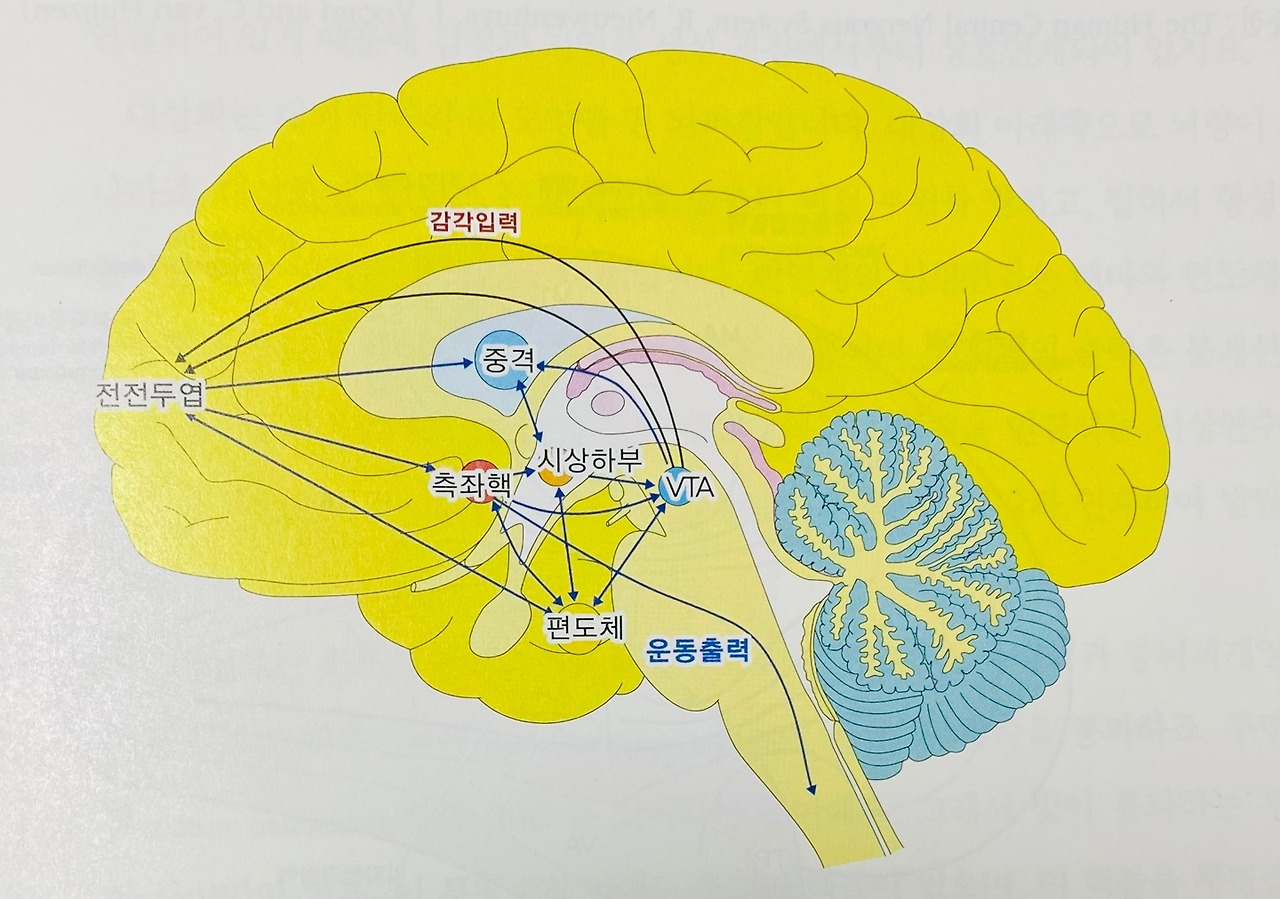 [중독] 도파민