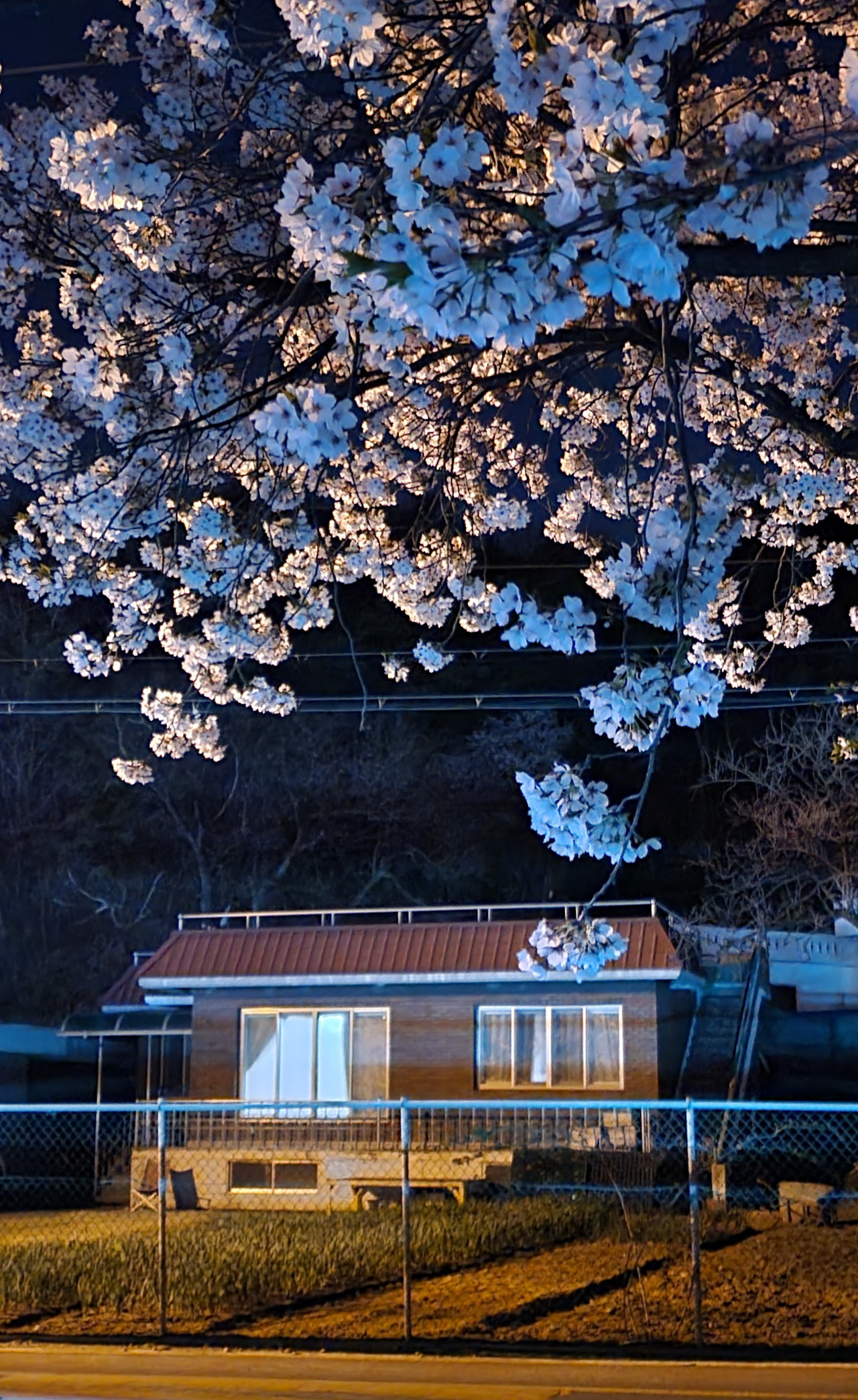 카지노 게임 사이트