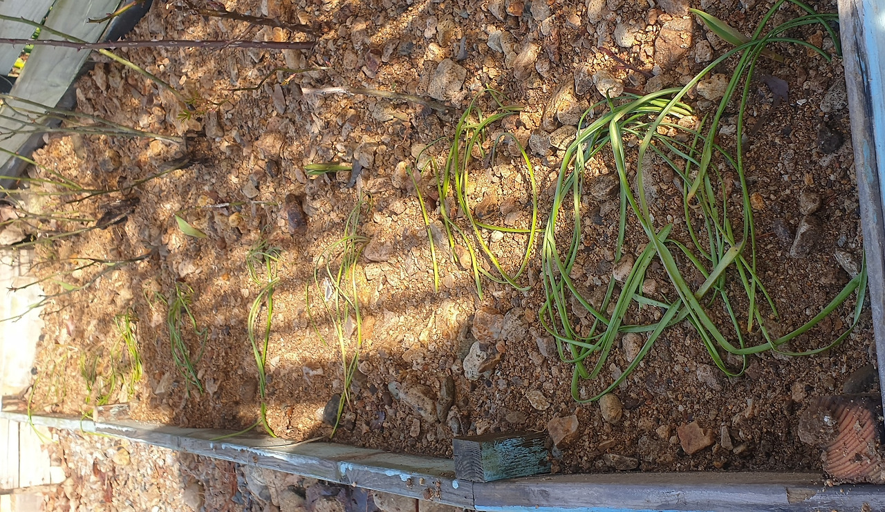 카지노 게임