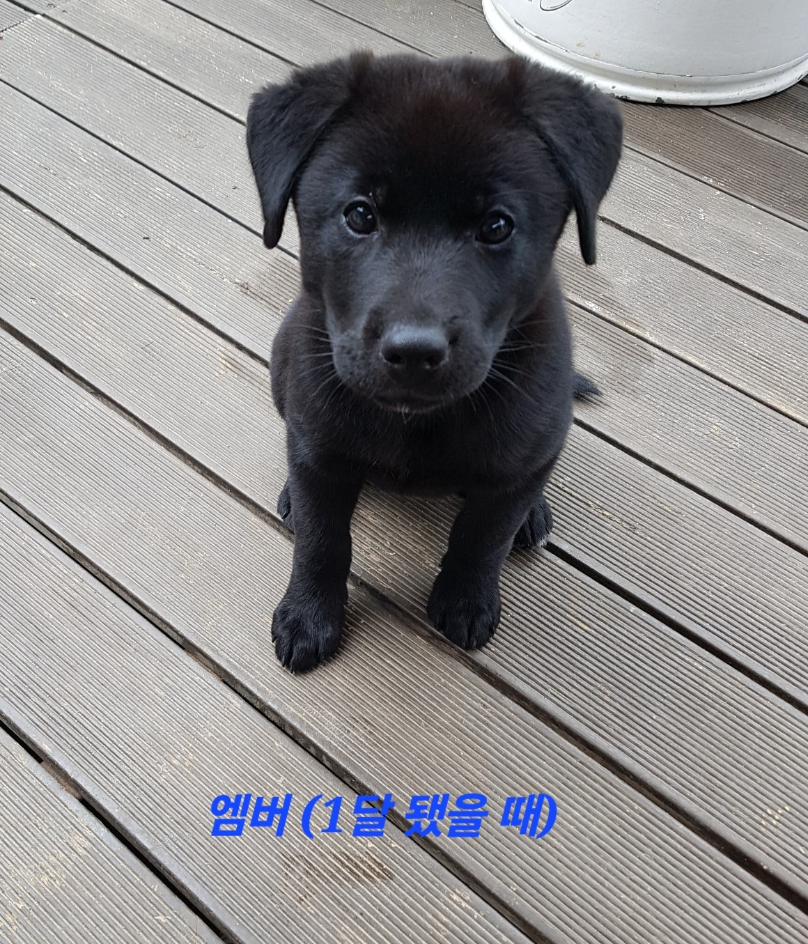 카지노 가입 쿠폰