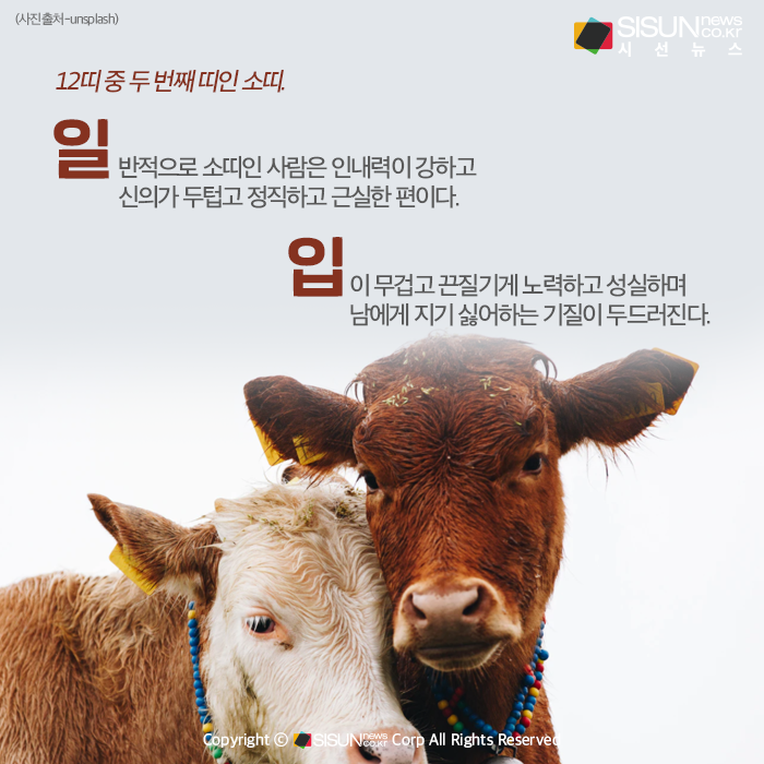 카지노 가입 쿠폰