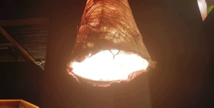 카지노 게임 사이트