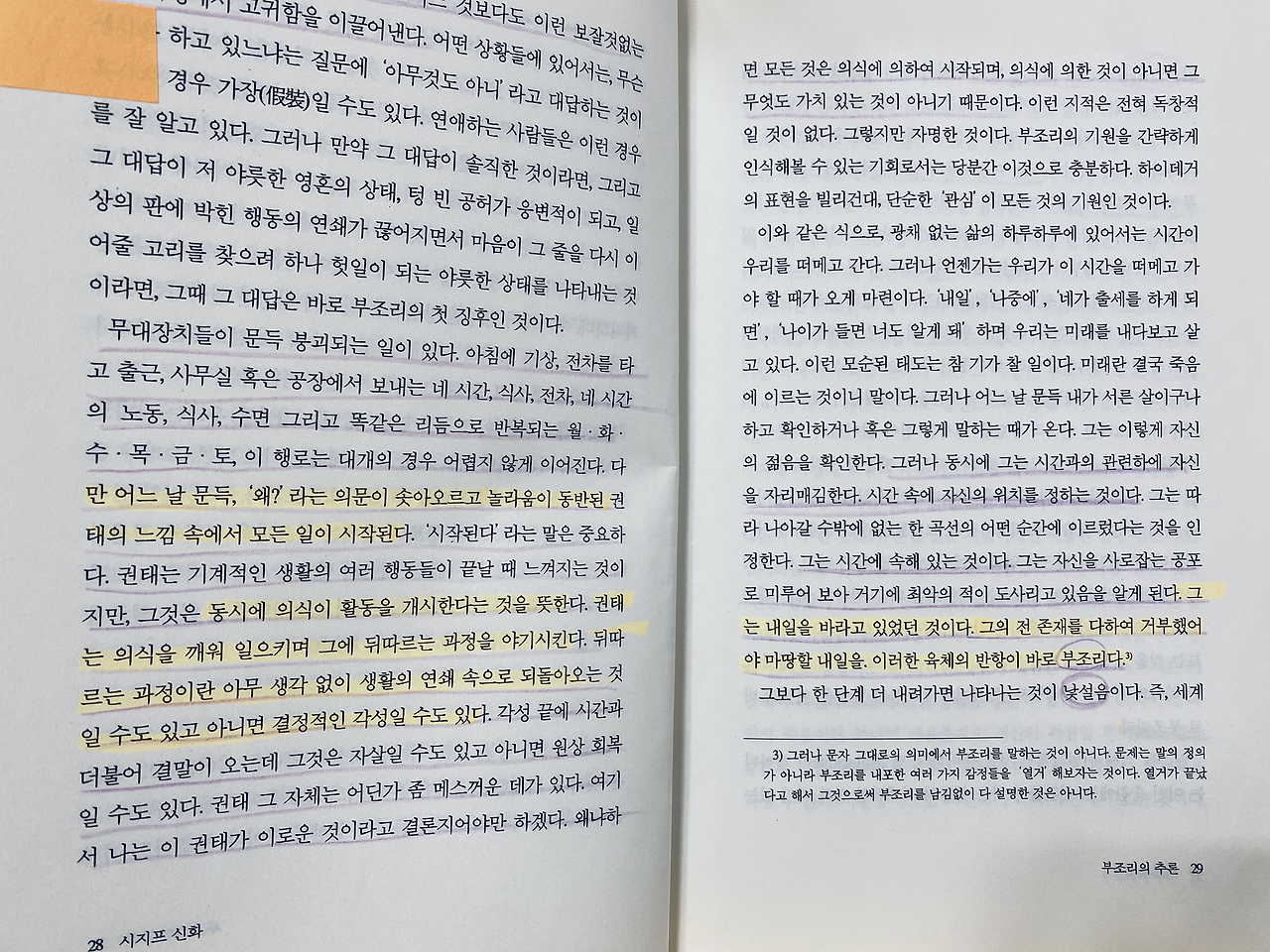 카지노 게임 추천