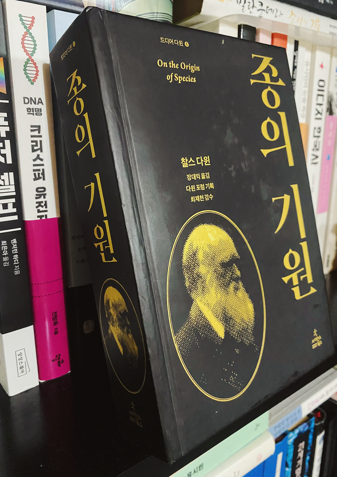 카지노 가입 쿠폰