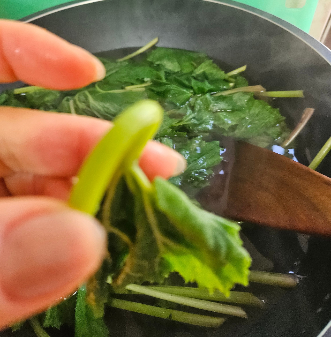 카지노 게임