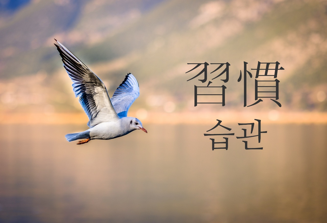 카지노 게임 추천