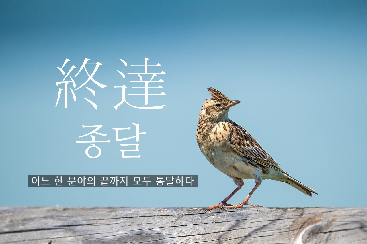 카지노 게임 추천