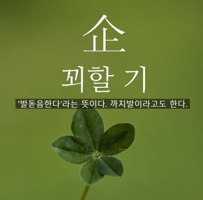 위너 토토