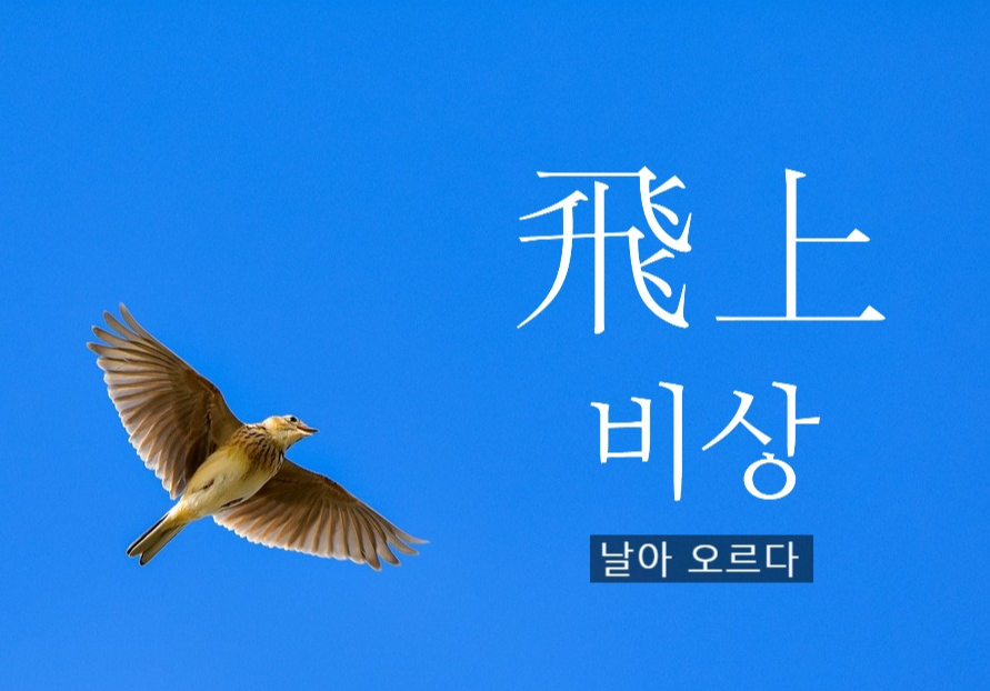 카지노 게임 추천