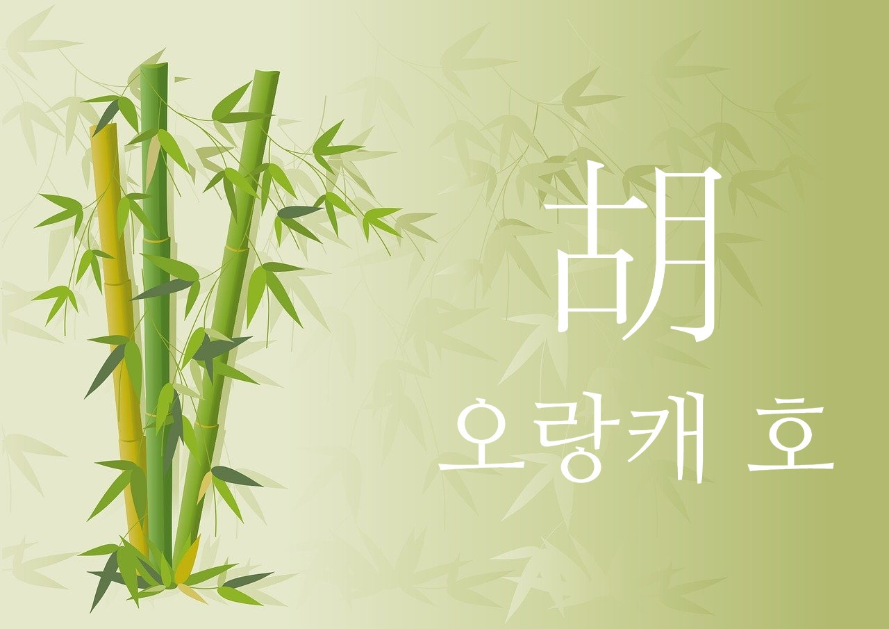 카지노 게임 사이트