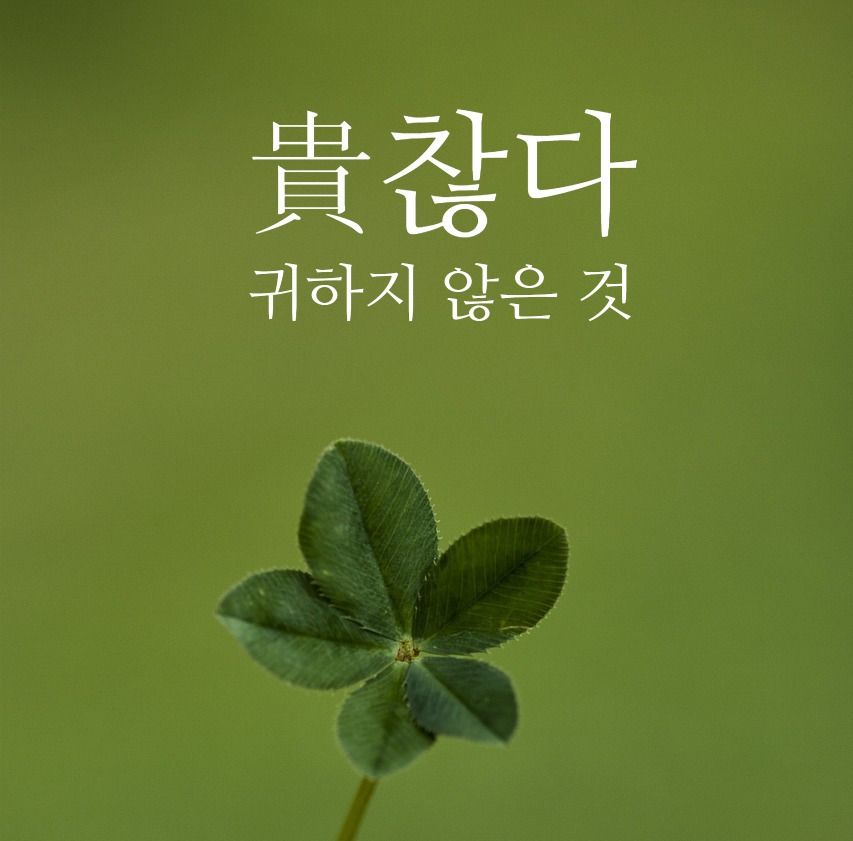 카지노 게임 추천