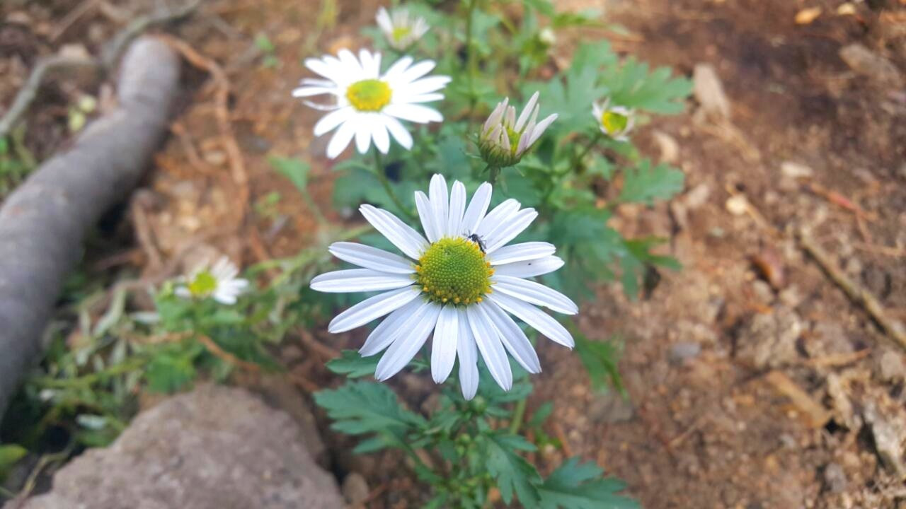 카지노 가입 쿠폰