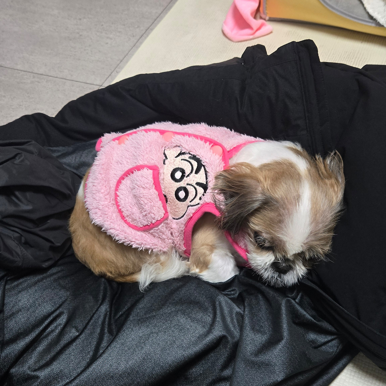 카지노 쿠폰