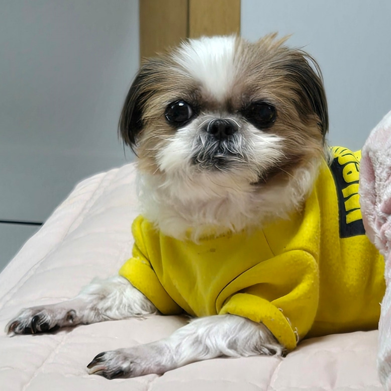 카지노 게임 사이트