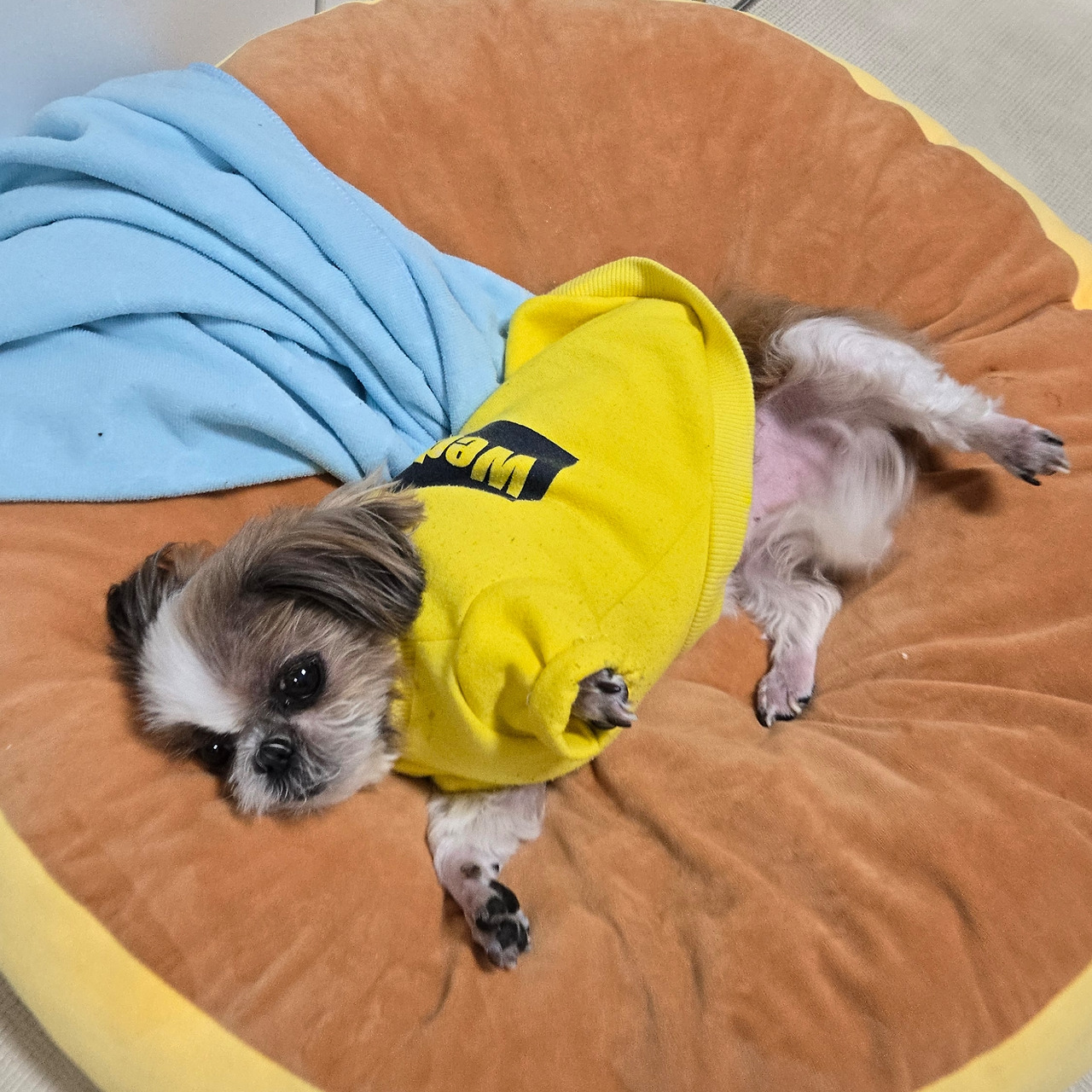 카지노 쿠폰