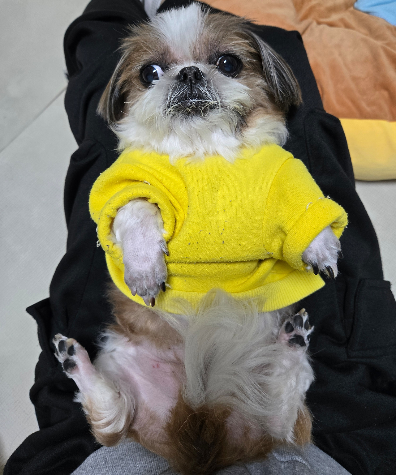 카지노 쿠폰