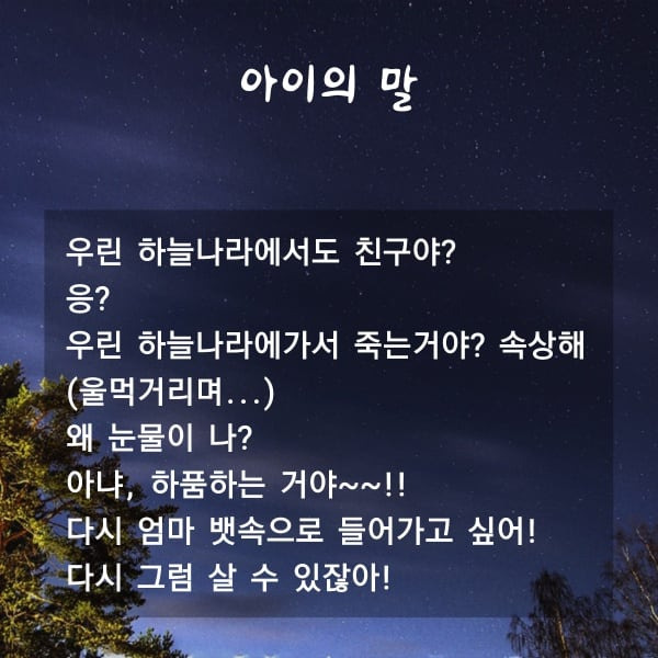 카지노 쿠폰