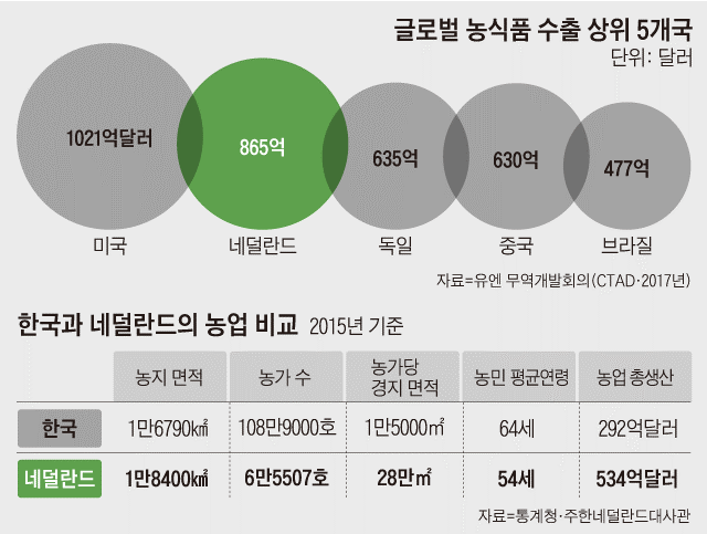 바카라 체험