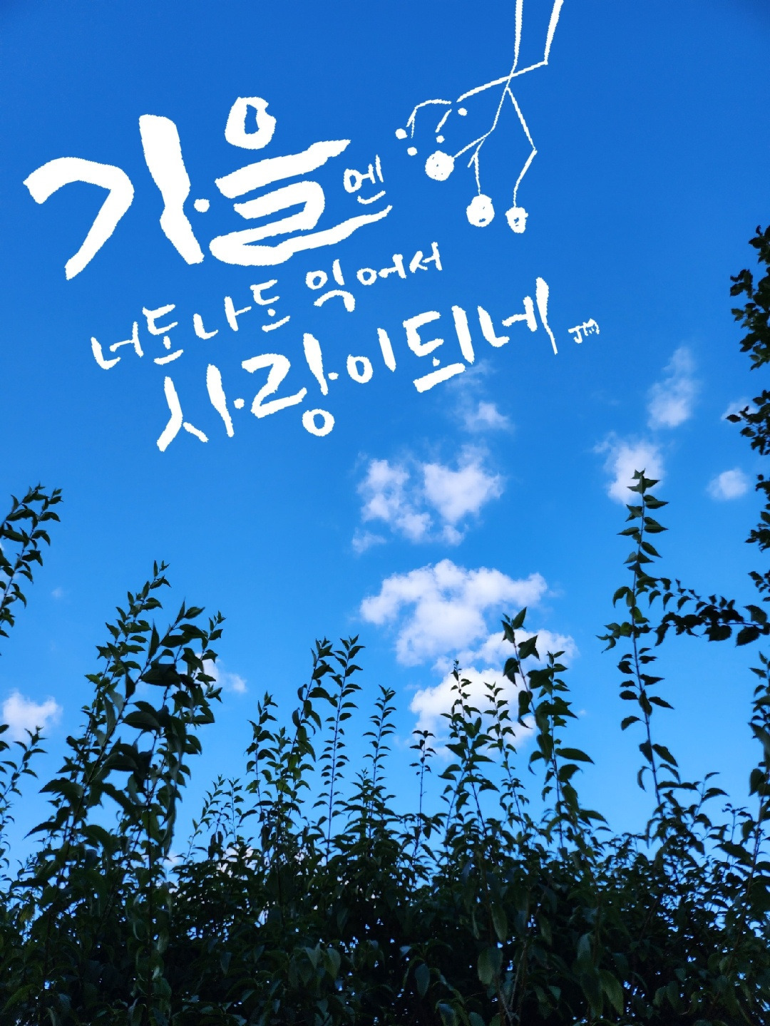 방명록 이미지
