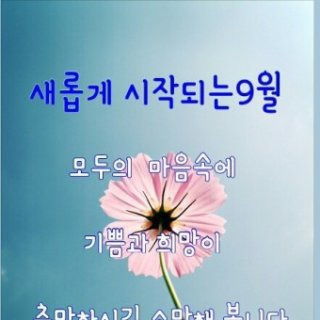 방명록 이미지