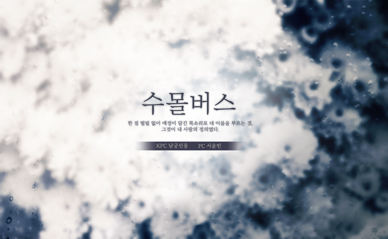 수몰버스