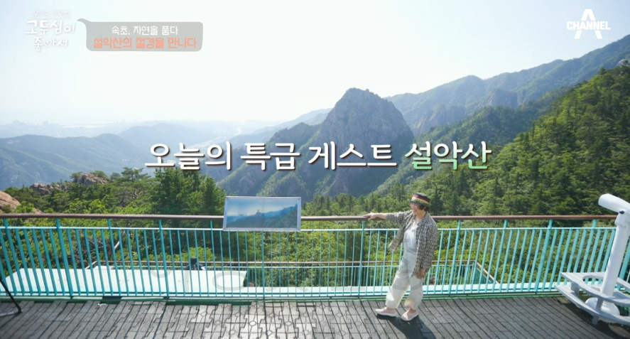 고두심이 좋아서 속초, 자연을 품다 촬영지 총정리 - 해천탕 보양식, 설악산 뷰 한옥 카페, 72년 전통 함흥냉면집, 500년 돌담길 1 ywAAAAAAQABAAACAUwAOw==