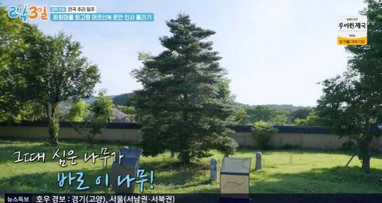 2박3일 경북 안동 전국 추리 일주 안동에서 필수 여행 코스 '하회마을' 충효당 촬영지 어디? 6 ywAAAAAAQABAAACAUwAOw==