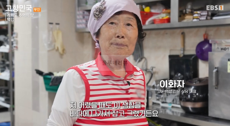 고향민국 백합 식당, 계화도 추억의 맛 백합죽 백합탕 백합찜 백합파전 파는 곳 어디? 이화자 대표 4 ywAAAAAAQABAAACAUwAOw==