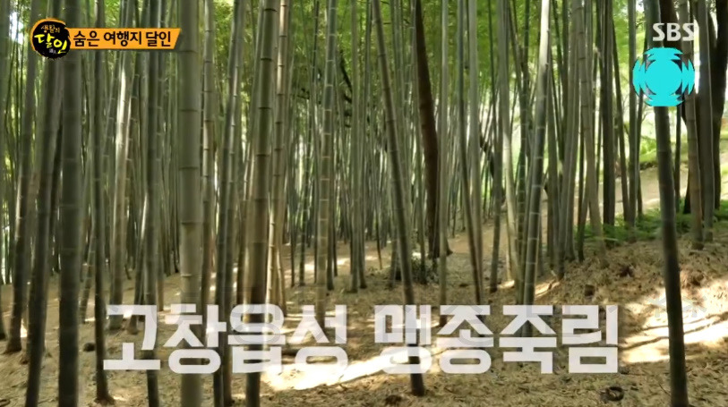 생활의달인 숨은 여행지 달인 - 황익수 계곡 여행 달인 추천 여행 장소 보기 4 ywAAAAAAQABAAACAUwAOw==
