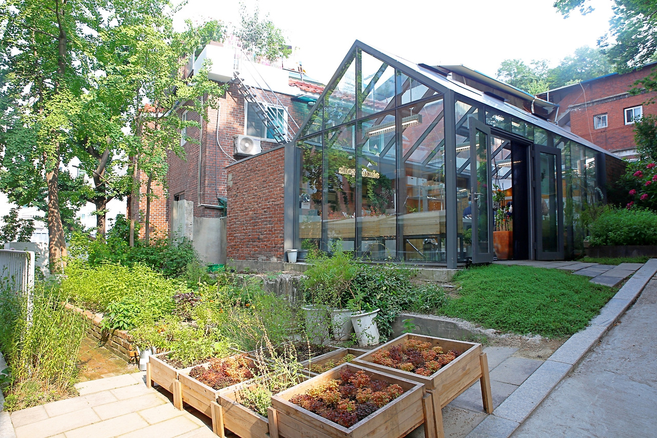 Zero Complex’s herb garden (Pic: Julia Lee)