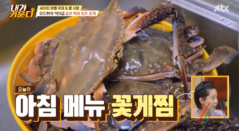 내가키운다 꽃게찜, 시금치된장국 만드는법 이지현 레시피 1 ywAAAAAAQABAAACAUwAOw==