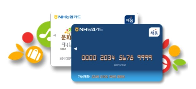 2021년 문화누리 카드 지원 확대 (1인당 10만 원) 및 시행일 2 ywAAAAAAQABAAACAUwAOw==