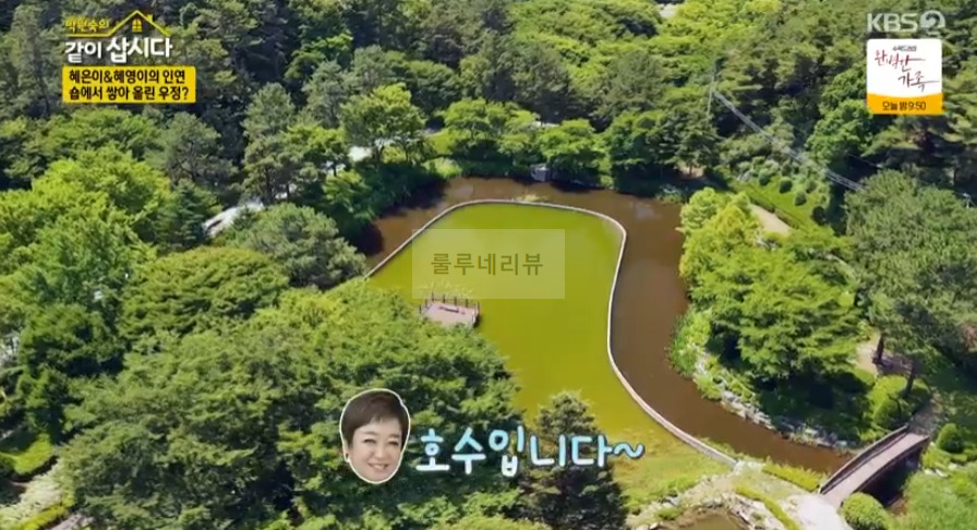같이삽시다 여주 체험형 수목원, 낙우송, 피크닉 장소 위치 어디? 6 ywAAAAAAQABAAACAUwAOw==